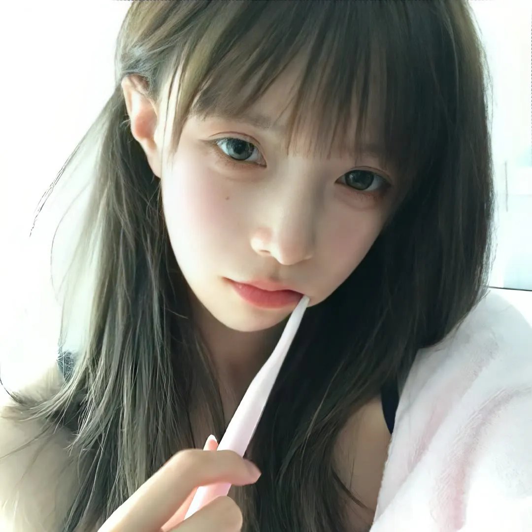 北极大冒险